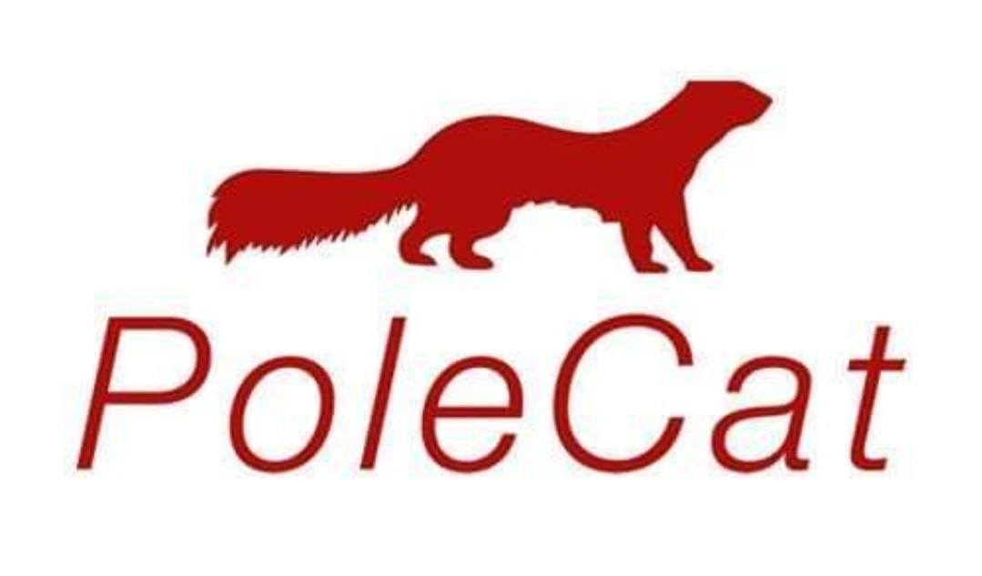POLE CAT